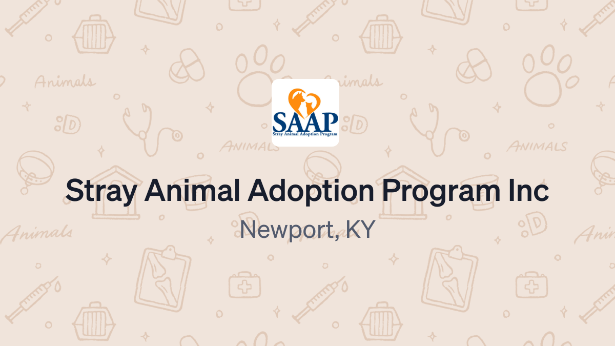 Donate to Stray Animal Adoption Program Inc (61-1333938) using Daffy