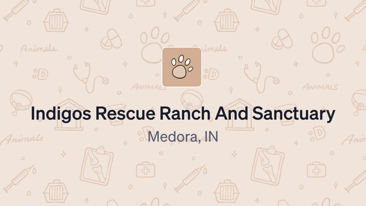 Donate to Indigos Rescue Ranch And Sanctuary (87-2577816) using Daffy